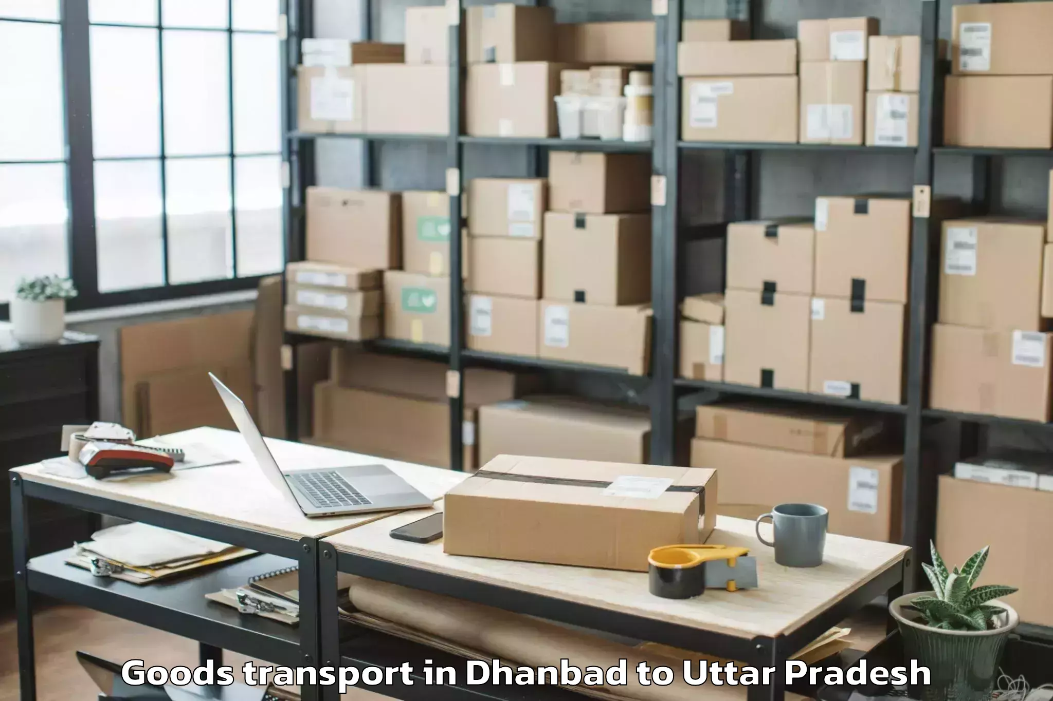 Professional Dhanbad to Barsana Goods Transport